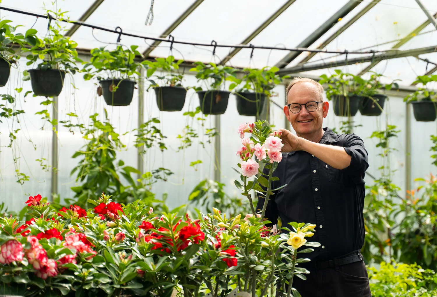 Gør haven unik med Bjarne