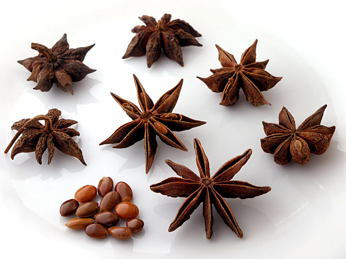 Stjerneanis - Illicium verum