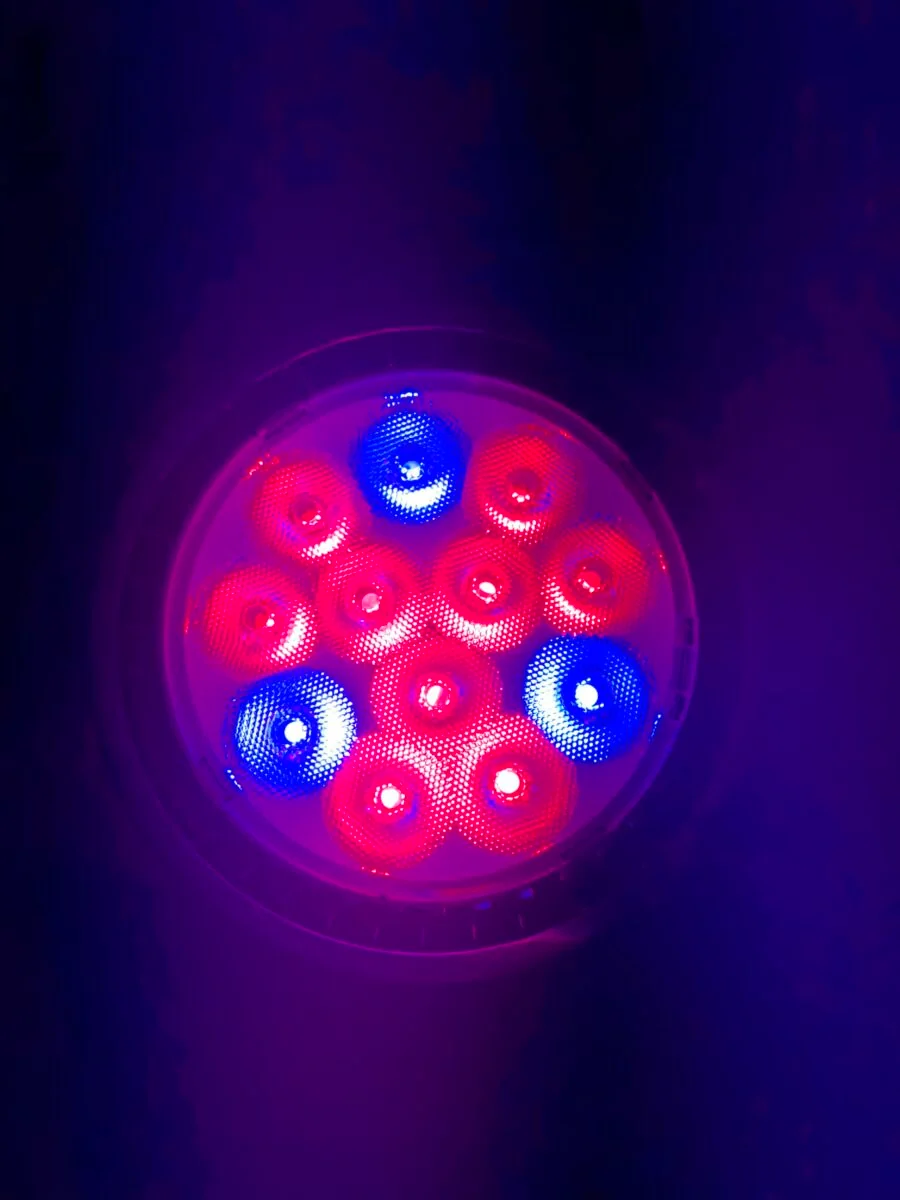 36W ProPlantS PAR38 - 90° spire- og vækst Lampe - Image 2