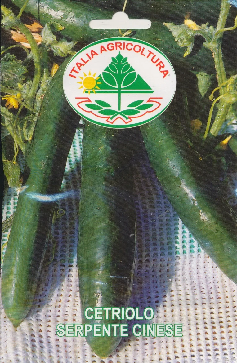 Agurk, salat - Serpente Cinese / Longo Da Cina 25 GRAM