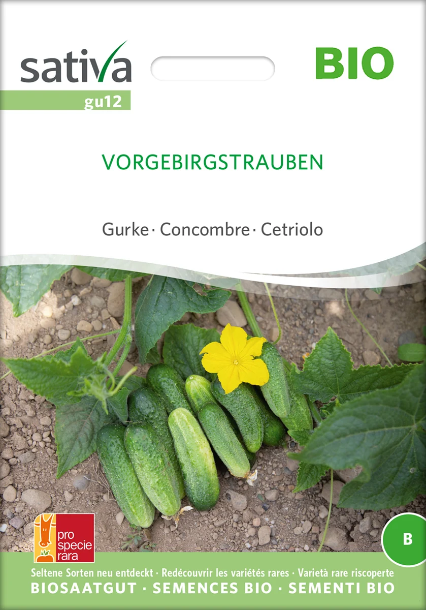 Agurk - Vorgebirgstrauben - ØKO