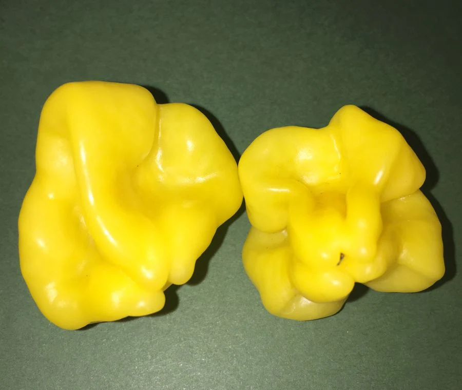 Aji Yellow Fantasy - plante