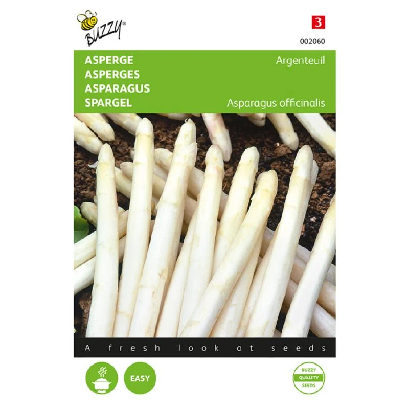Asparges - Argenteuil - Asparagus officinalis
