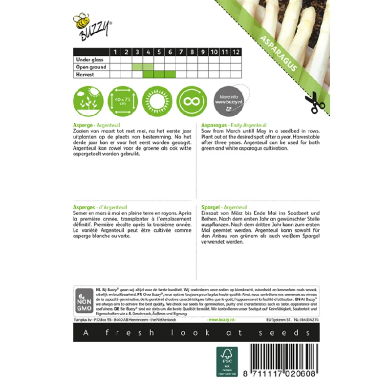 Asparges - Argenteuil - Asparagus officinalis - Image 2