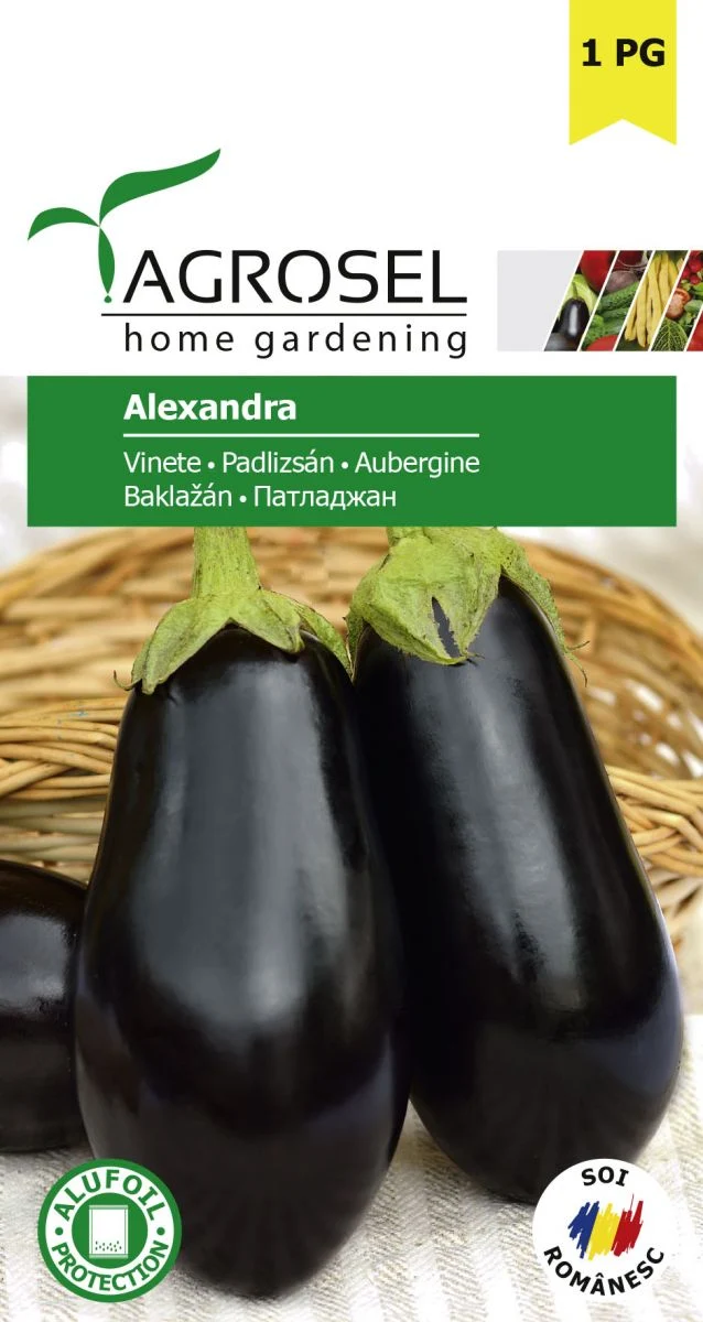 Aubergine - Alexandra - lille pk