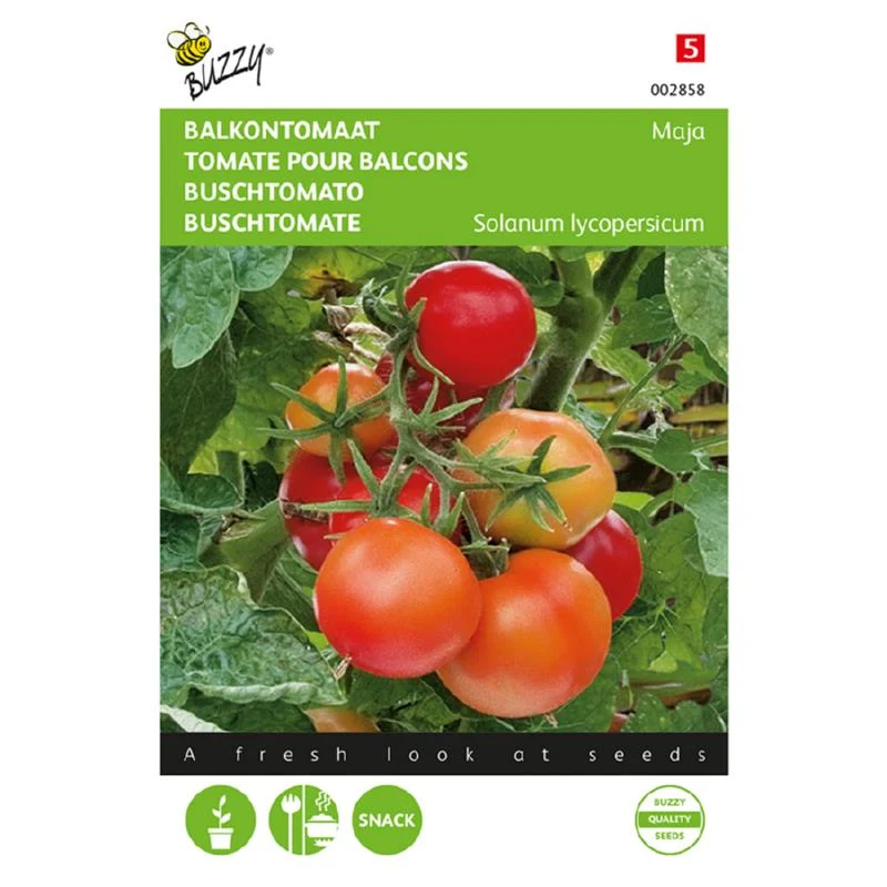 Balkon tomat - Maja - Solanum Lycopersicum