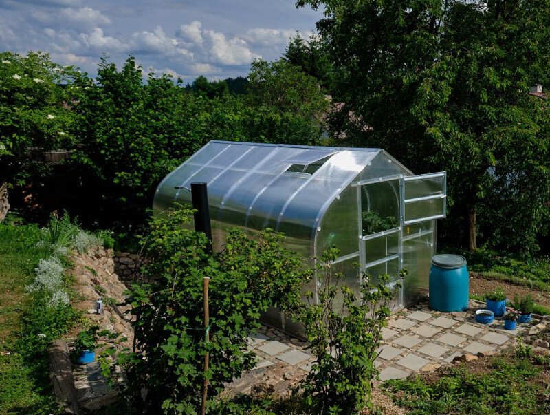Baltic Klasika Standard - Polycarbonat drivhus - Image 5