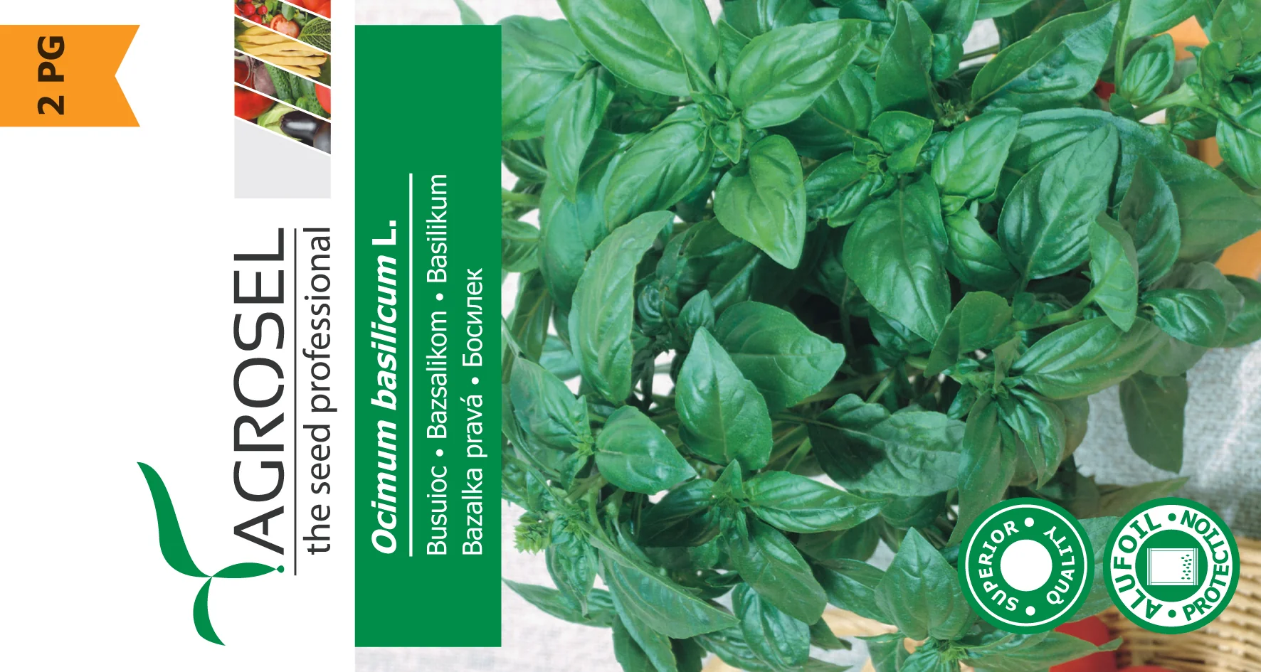 Basilikum - Ocimum Basilicum L. - pg2 - Image 2