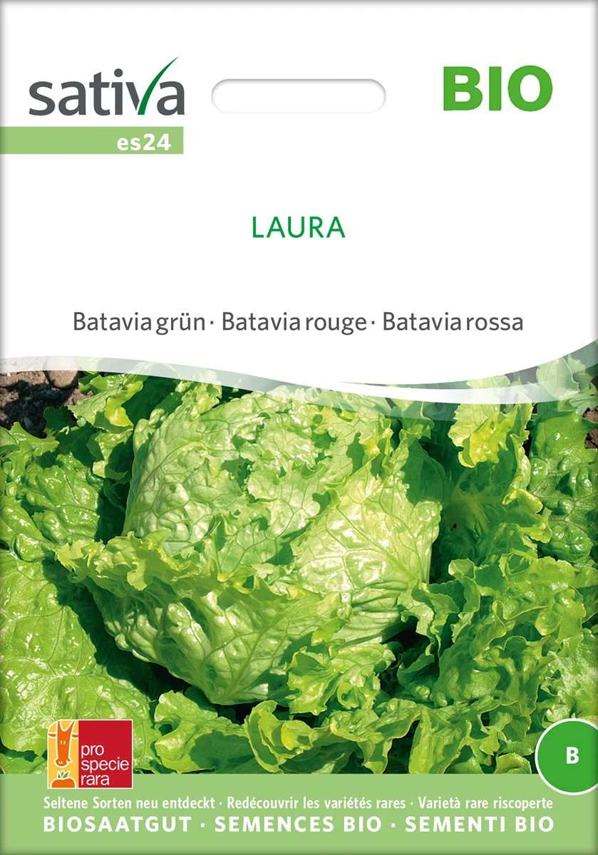 Salat - Laura - ØKO