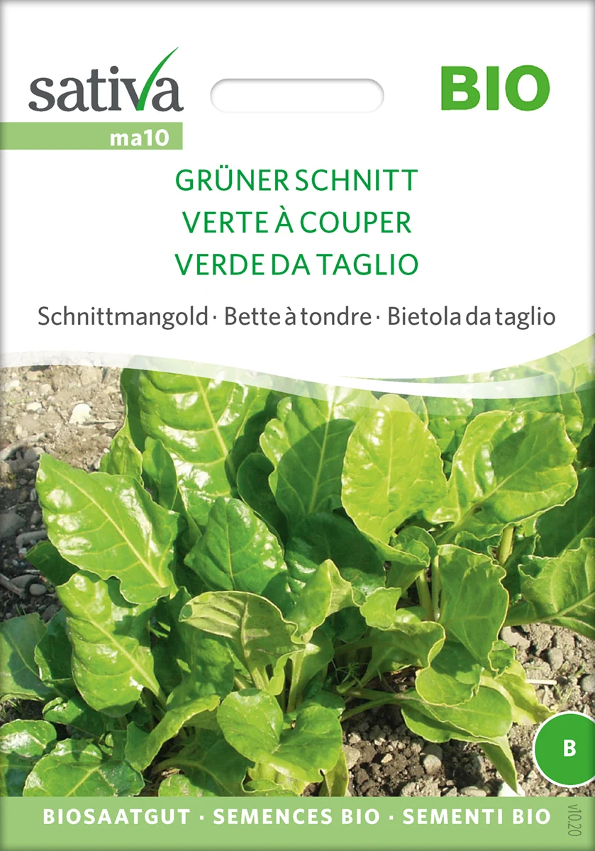 Bladbede - Schnittmangold - Grüner Schnitt - ØKO