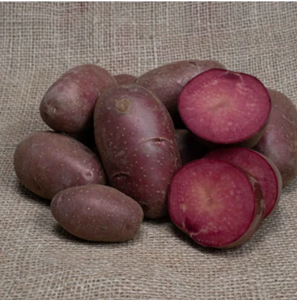 Bondens Bedste – LILY ROSE 1,5 KG – Læggekartoffel