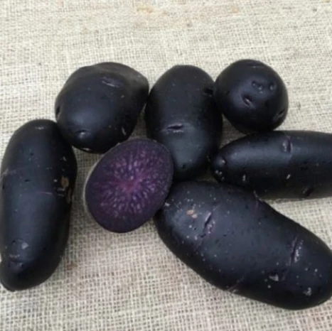 Bondens Bedste – PURPLE RAIN 1,5 KG