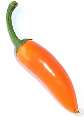 Miniaturebillede 1