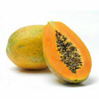 Carica papaya - Red Petiole