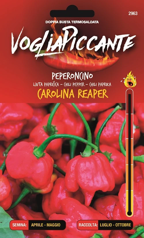 Carolina Reaper - C. chinense