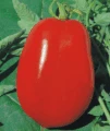 Chico III