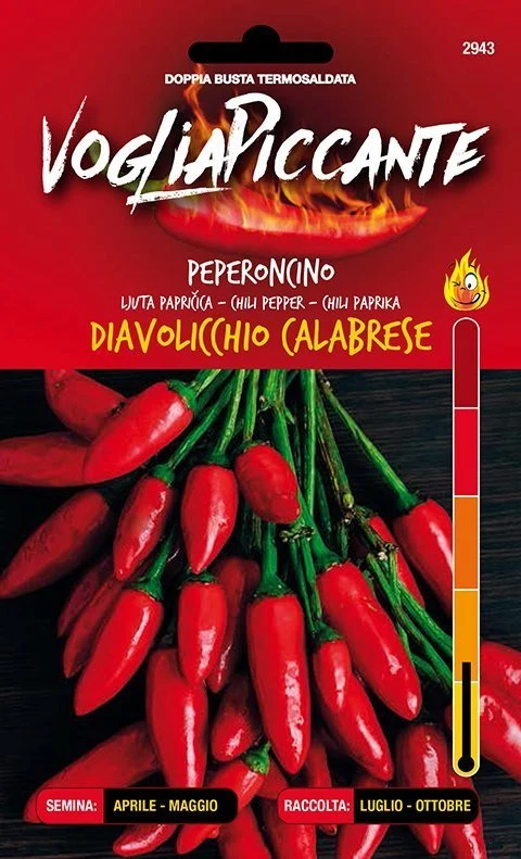 Diavolicchio Calabrese - C. annuum
