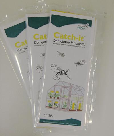 Fangplader til flyvende insekter - 10 x 10 stk