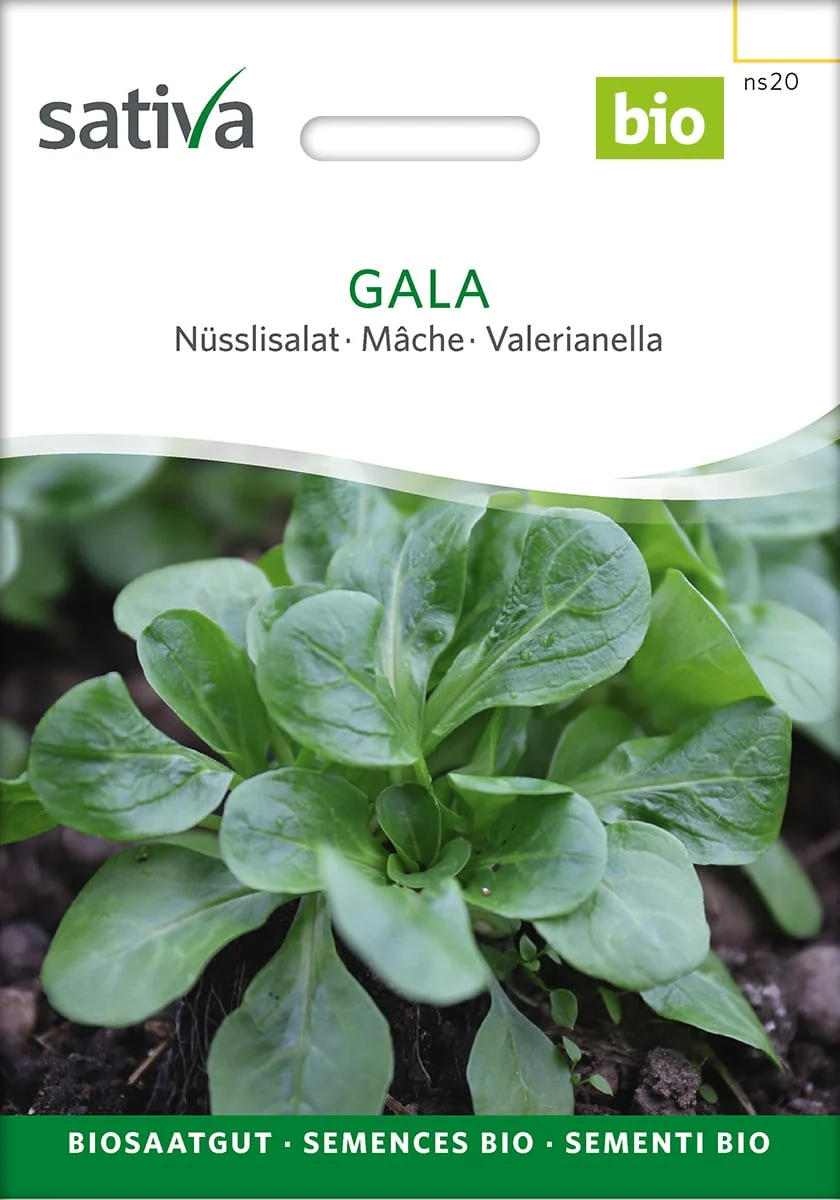 Feldsalat - Gala - ØKO