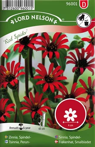 Frøkenhat, Smalbladet, Red Spider