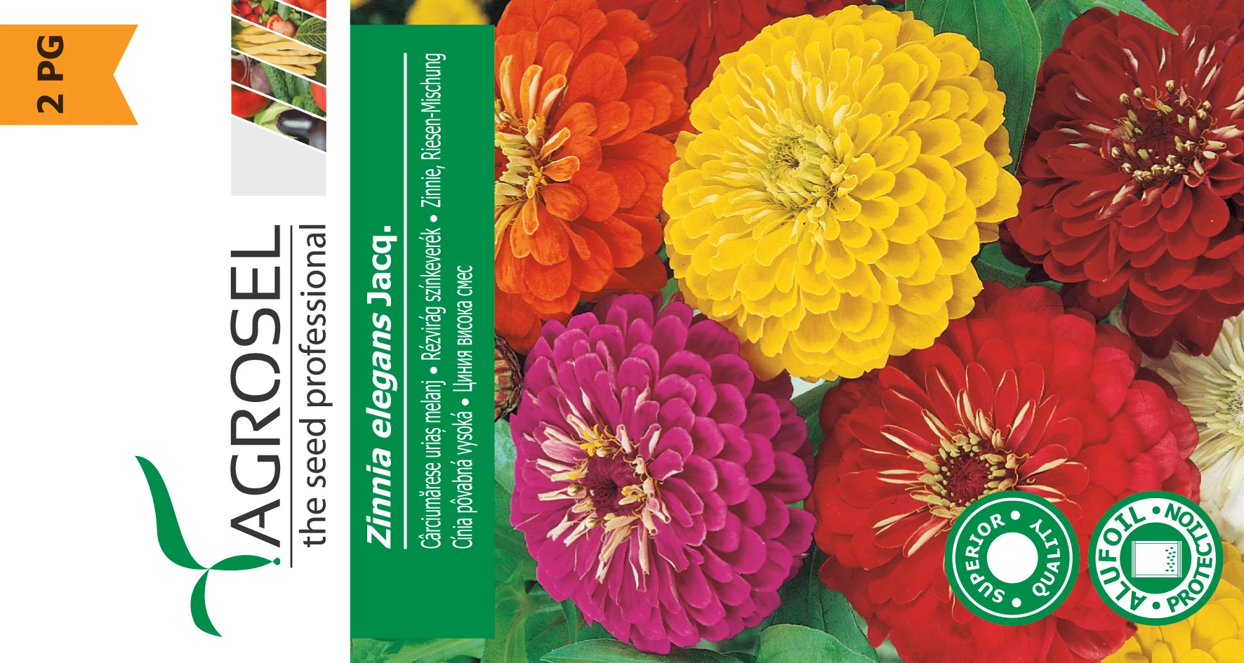 Frøkenhat - Zinnia Elegans Jacq - Image 2