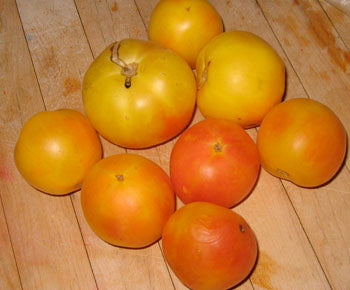 Garden Peach - tomat - Image 2