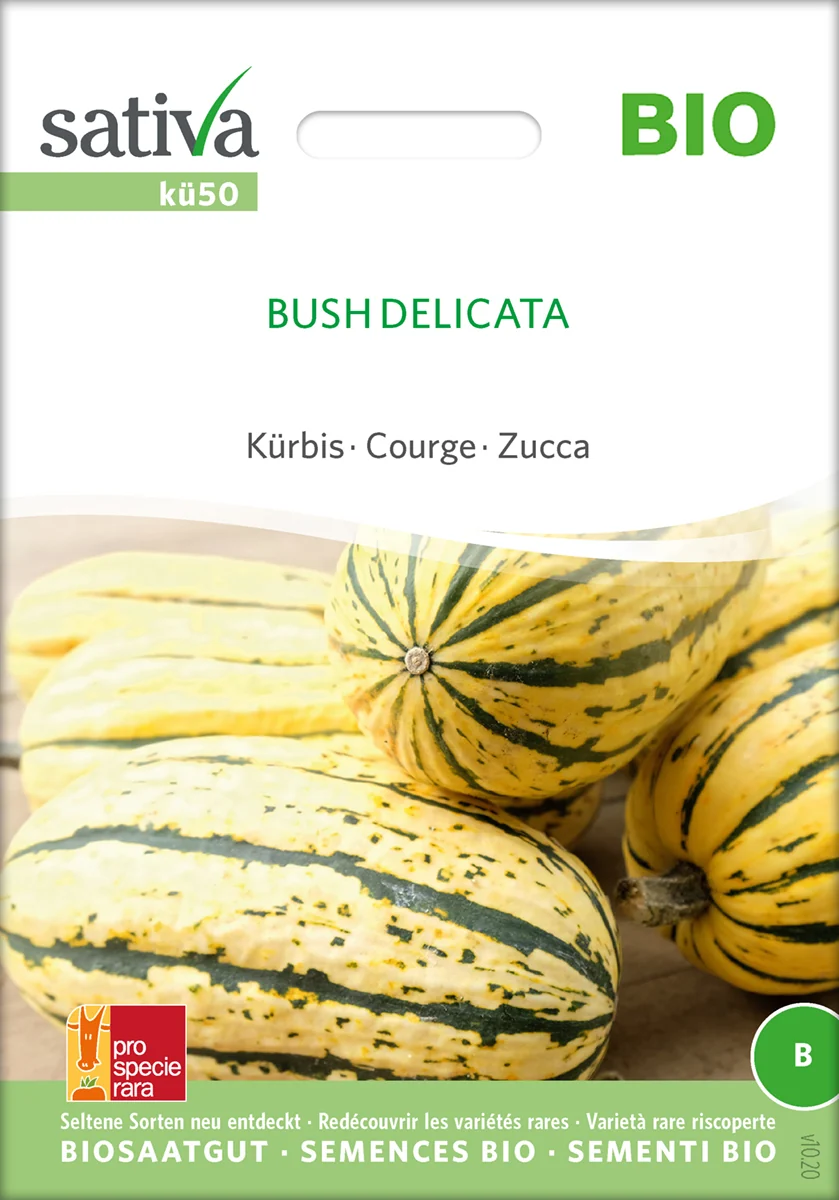 Græskar/Squash - Bush Delicata - ØKO
