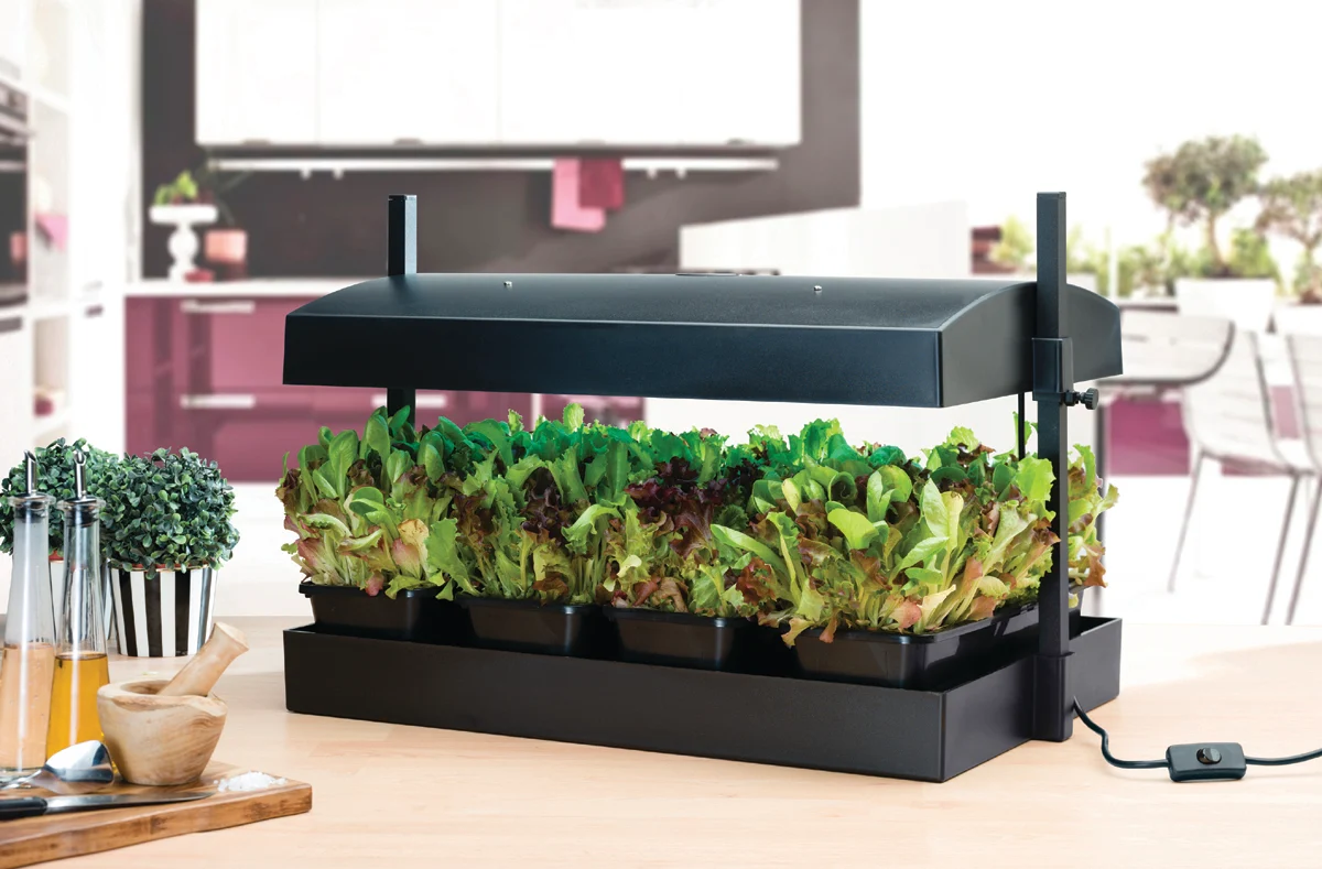 Growlight Garden Sort - LED version - Image 5