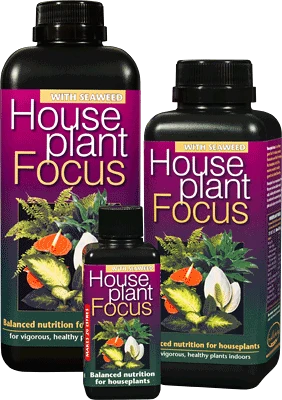 GT Houseplant Focus 100ml