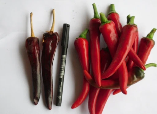 Guindilla Larga Roja - C. annuum
