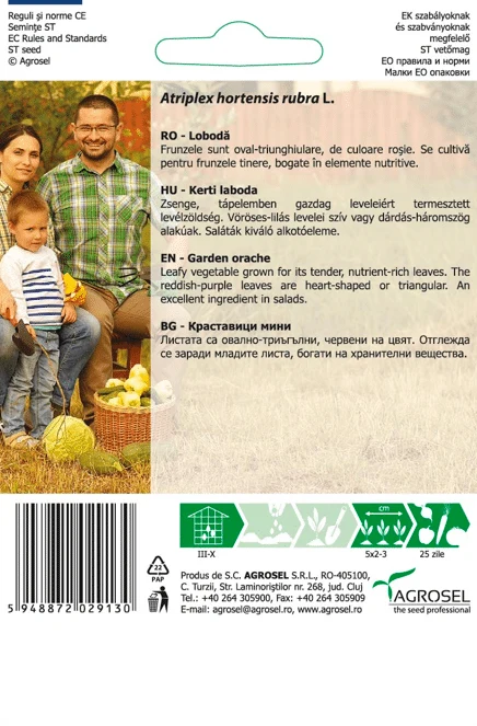Havesyre - Blodmælde -  Garden Orache – Baby Leaf - PG8 - Image 2