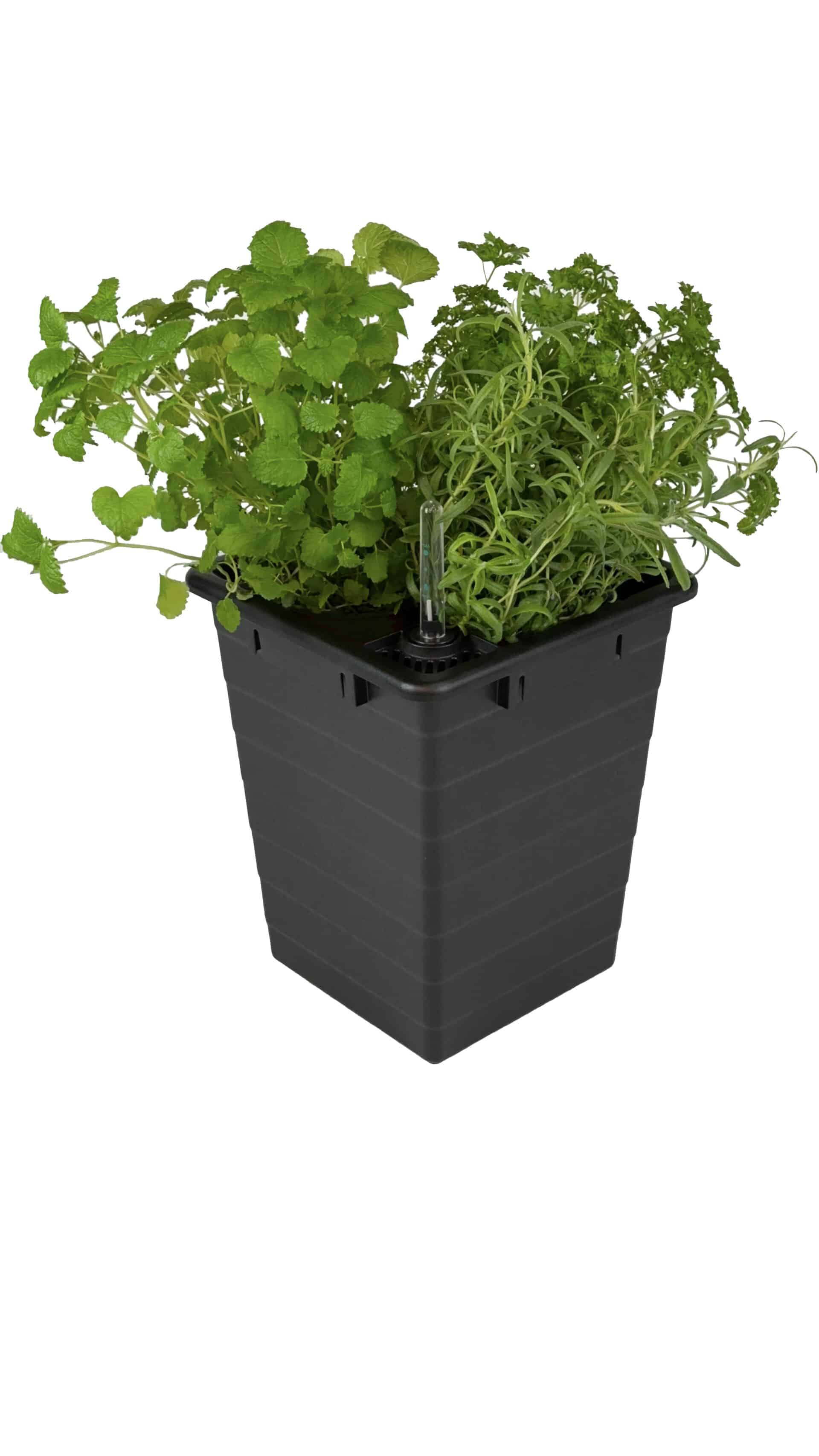 Homefarm - Planter 1 - Selvvandingspotte - Image 3