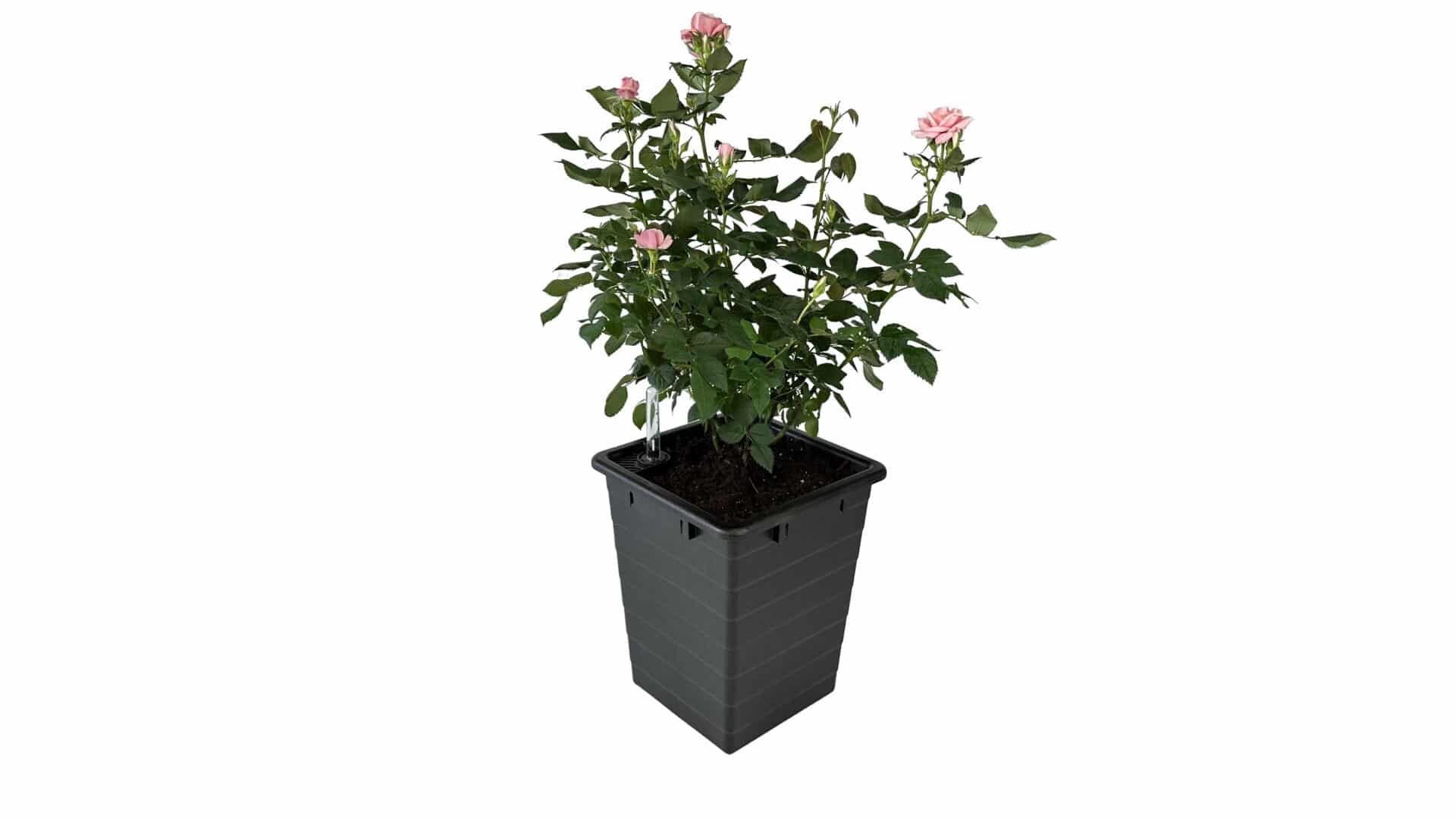 Homefarm - Planter 1 - Selvvandingspotte - Image 5