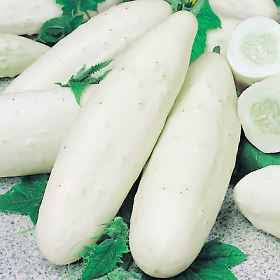 Miniaturebillede 1