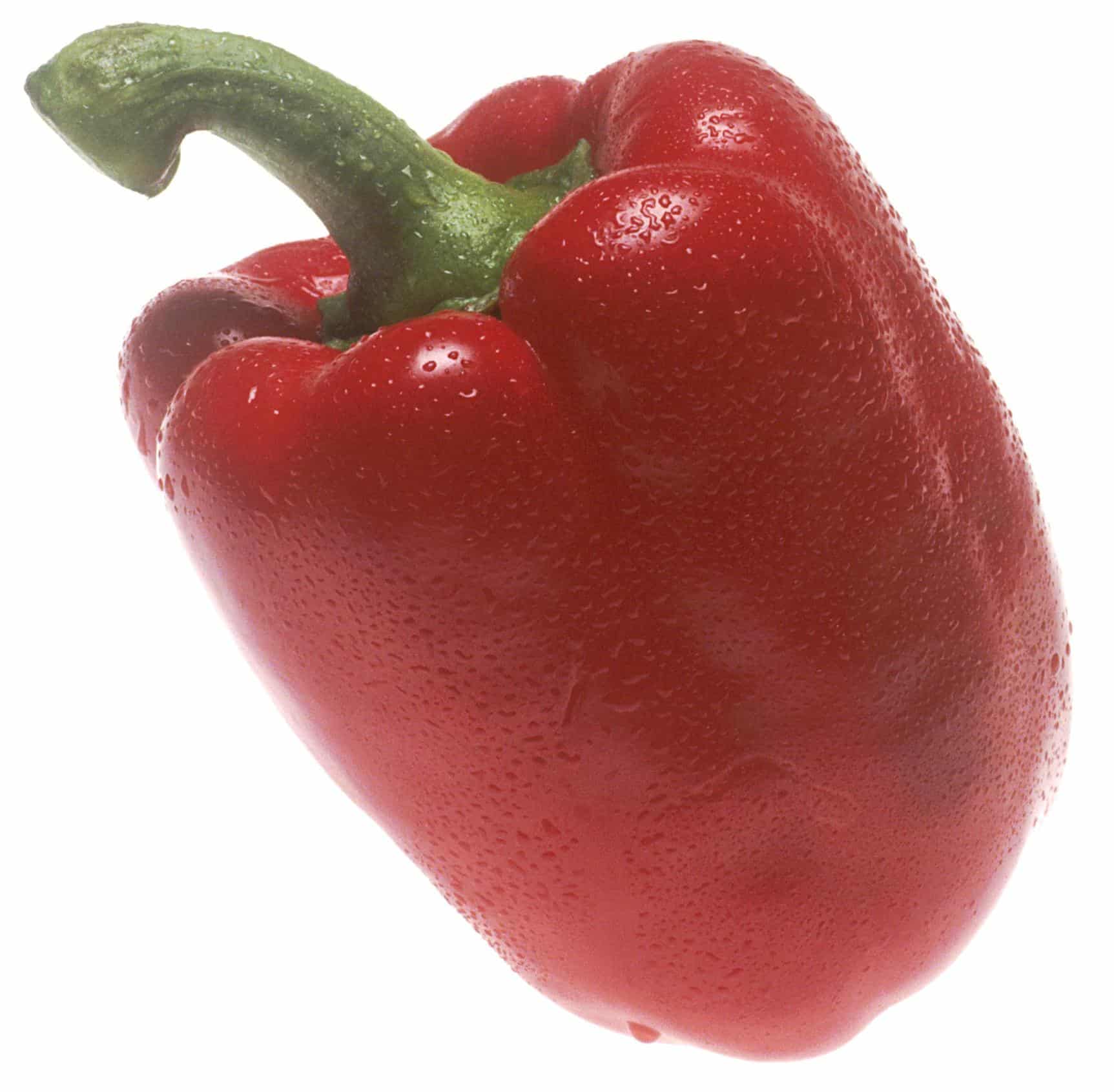 Miniaturebillede 1