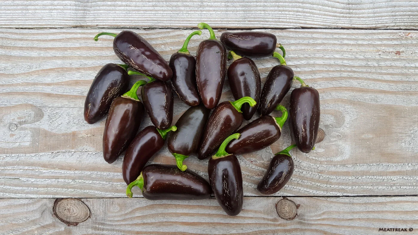 Jalapeño Azabache - C. annuum - Image 5