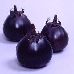 Miniaturebillede 1