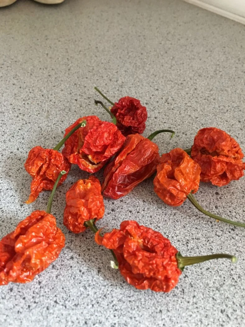 Krydderikværn m/Carolina Reaper chili - Image 2