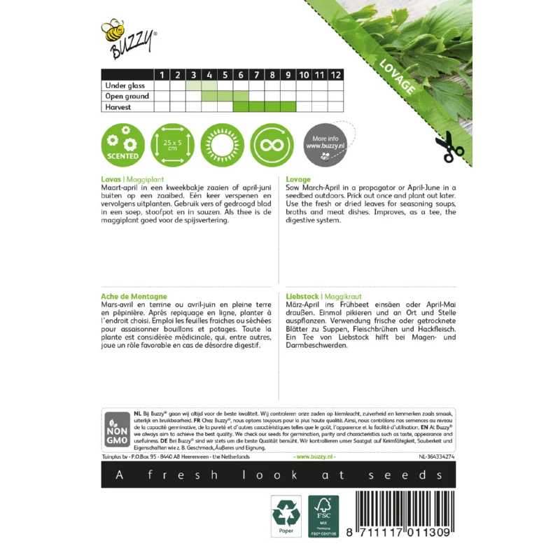 Løvstikke - Levisticum officinalis - Image 2
