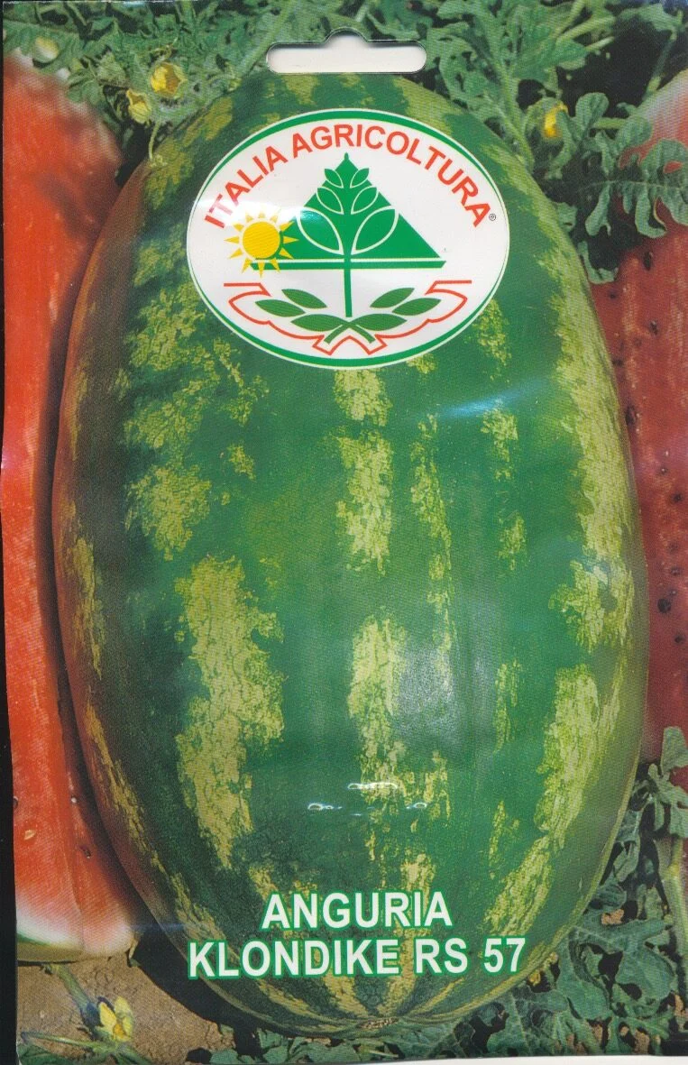 Miniaturebillede 1