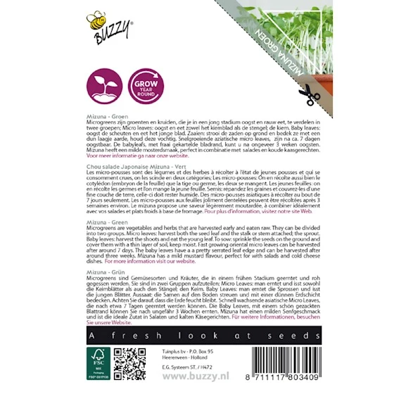 Micro Greens - Mizuna Green - Image 3