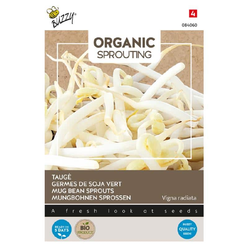 Mikro grønt - Bønnepire - Vigna radiata.