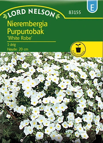 Nierembergie, White Robe, hvid