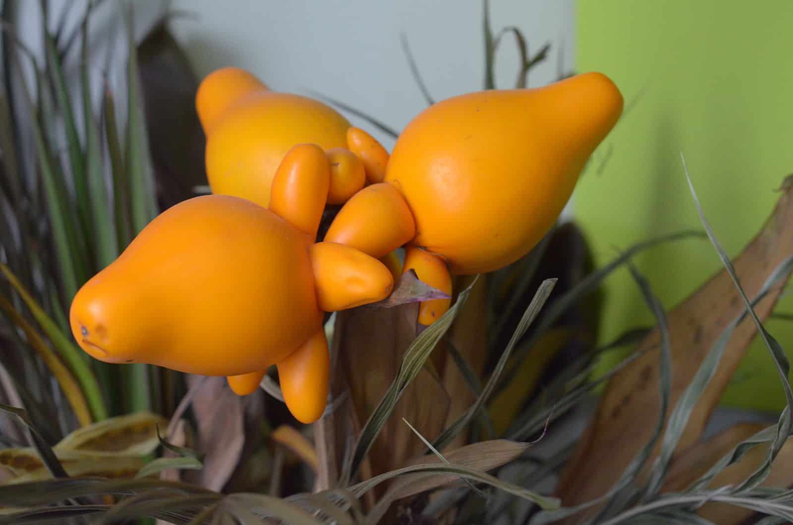 Miniaturebillede 1