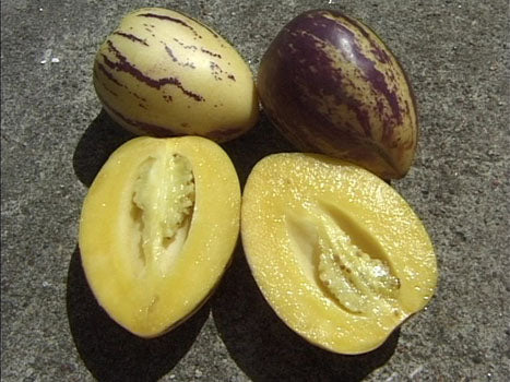 Miniaturebillede 1