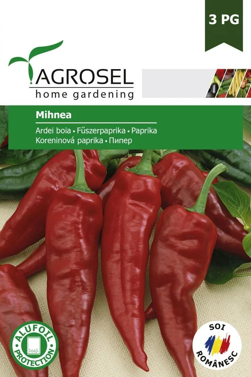 Peberfrugt - Mihnea - stor pk.