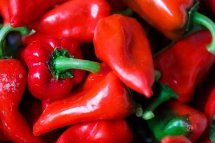 Sweet Pimientos - C. annuum