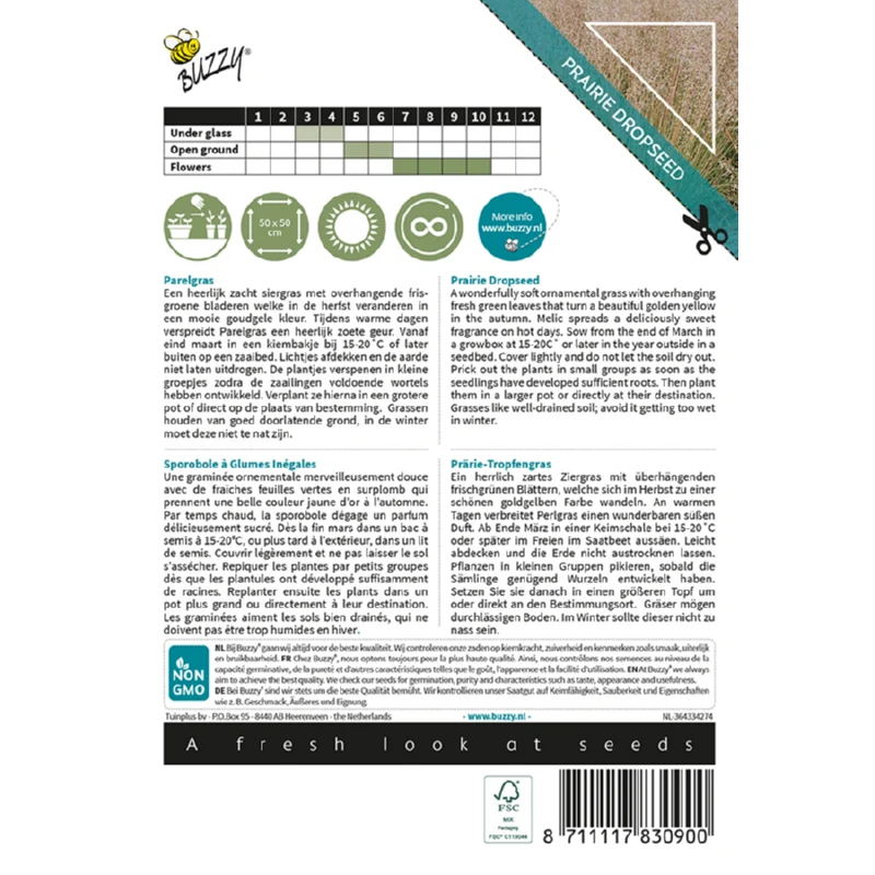 Prydgræs - Perlegræs - Sporobolus Heterolepis - Image 2