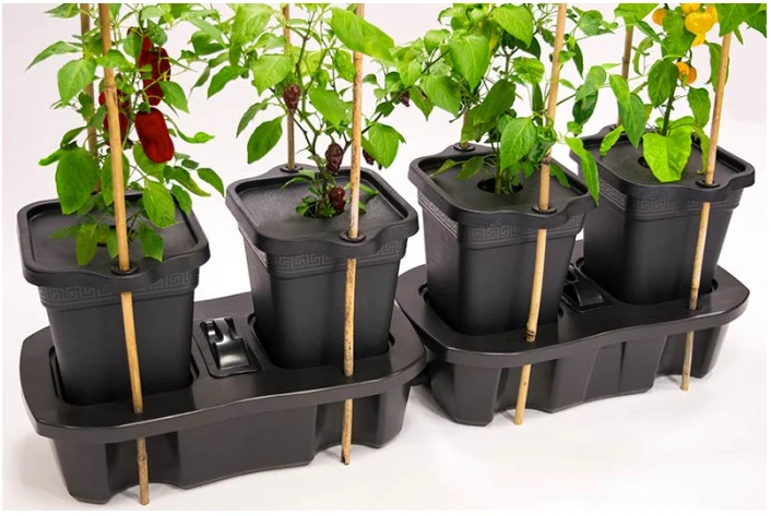 QUADGROW new system inkl. gødning - Image 8