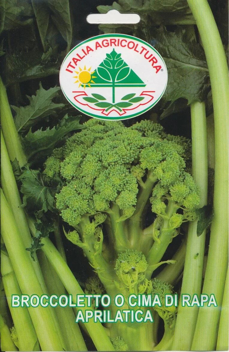 Rapini Cima di rapa - Aprilatica